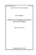 Nghiên cứu giải phẫu ứng dụng gân cơ gan chân