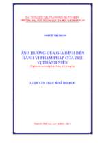 ảnh hưởng của gia đình đến hành vi phạm pháp của trẻ vị thành niên (nghiên cứu tại trường giáo dưỡng số 5, long an)    