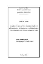 Nghiên cứu ảnh hưởng của một số yếu tố đến khả năng phát sinh callus từ bao phấn cây dưa chuột (cucumis sativus l.) in vitro