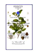 Luận văn tốt nghiệp nghiên cứu tính chất kem gel sử dụng chiết xuất trà xanh so sánh kem chalk không sử dụng chiết xuất