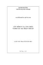 Lớp môđun xạ ảnh trên vành các ma trận chuẩn