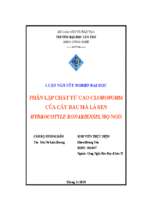 Luận văn tốt nghiệp phân lập chất từ cao cloroform của cây rau má lá sen hydrocotyle bonariensis, họ ngò