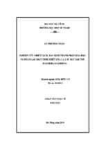 Nghiên cứu chiết tách, xác định thành phần hóa học và phân lập chất tinh khiết của lá cây mơ tam thể (paederia scandens)