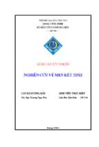 Luận văn tốt nghiệp nghiên cứu về men kết tinh