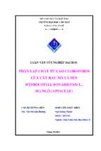 Luận văn tốt nghiệp phân lập chất từ cao cloroform của cây rau má lá sen hydrocotyle bonariensis l., họ ngò (apiaceae)