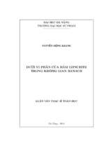 Dưới vi phân của hàm lipshitz trong không gian banach..