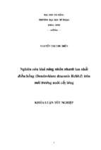 Nghiên cứu khả năng nhân nhanh lan nhất điểm hồng (dendrobium draconis rchb.f) trên môi trường nuôi cấy lỏng.