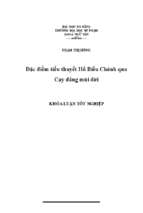 đặc điểm tiểu thuyết hồ biểu chánh qua cay đắng mùi đời.