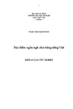 đặc điểm ngôn ngữ chat bằng tiếng việt.