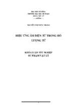 Hiệu ứng âm điện từ trong hố lượng tử.