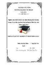 Nghiên cứu chiết tách và xác định thành phần hóa học trong rễ cây dừa cạn hoa hồng tại huyện phú lộc, tỉnh thừa thiên huế.