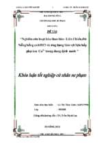 Nghiên cứu hoạt hóa than bùn  liên chiểu, đà nẵng bằng axit hcl và ứng dụng làm vật liệu hấp phụ ion cu2+ trong dung dịch nước.