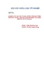 Nghiên cứu các yếu tố ảnh hưởng đến quá trình phân hủy thuốc trừ sâu diazinon bằng tác nhân (fenton uv) fe2+h2o2uv.