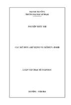 Các mô đun t mở rộng và môđun t baer