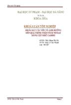 Nghiên cứu và khảo sát các điều kiện tối ưu chế tạo cột khử cadimi trong phân tích nitrat..