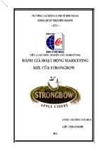 Tiểu luận môn nghiên cứu marketing đánh giá hoạt động marketing mix của strongbow