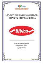 Phân tích hoạt động kinh doanh công ty cổ phần bibica