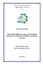 Phân tích hiệu quả hoạt động kinh doanh của công ty cổ phần tập đoàn cotana