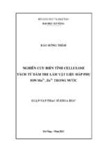 Nghiên cứu biến tính cellulose tách từ dăm tre làm vật liệu hấp phụ ion mn2+, zn2+ trong nước...