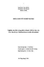 Nghiên cứu khả năng nhân nhanh chồi in vitro cây trúc đen lá sọc (sinobambusa tootsik albostriata).