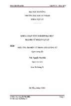 Hiệu ứng âm điện từ trong dây lượng tử.