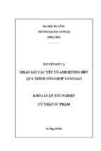 Khảo sát các yếu tố ảnh hưởng đến quá trình tổng hợp nano zno.