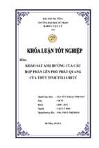 Khảo sát ảnh hưởng của các hợp phần lên phổ phát quang của thủy tinh tellurite.