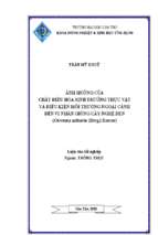 Ảnh hưởng của chất điều hòa sinh trưởng thực vật và điều kiện môi trường ngoại cảnh đến vi nhân giống cây nghệ đen (curcuma zedoaria (berg.) roscoe)