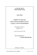Nghiên cứu tổng hợp một số xeton α,β không no đi từ  3 axetyl 2 metylbenzocromon