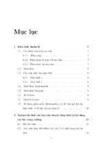Nghiệm đa thức của bài toán chuyển động dưới sự tác dụng của lực trọng trường.
