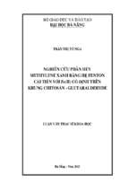Nghiên cứu phân hủy methylene xanh bằng hệ fenton cải tiến với fe(ii) cố định trên khung chitosan   glutaraldehyde.
