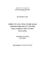 Nghiên cứu tăng cường tín hiệu raman nhằm phát hiện phân tử curcumin trong nghệ dựa trên cấu trúc nano au tio2