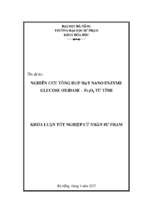 Nghiên cứu tổng hợp hạt nano enzyme glucose oxidase   fe3o4 từ tính .