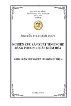 Nghiên cứu sản xuất tinh nghệ bằng phương pháp kiềm hóa.