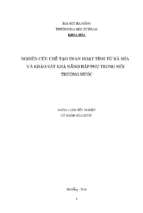 Nghiên cứu chế tạo than hoạt tính từ bã mía và khảo sát khả năng hấp phụ trong môi trường nước.