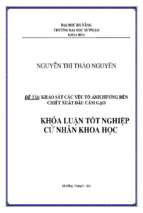 Khảo sát các yếu tố ảnh hưởng đến chiết xuất dầu cám gạo..