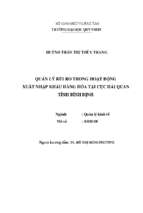 Quản lý rủi ro trong hoạt động xuất nhập khẩu hàng hóa tại cục hải quan tỉnh bình định