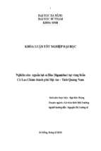 Nghiên cứu nguồn lợi cá dìa (siganidae) tại vùng biển cù lao chàm thành phố hội an – tỉnh quảng nam...