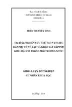 Nghiên cứu chế tạo vật liệu hấp phụ từ vỏ lạc và khảo sát hấp phụ kim loại chì trong môi trường nước.