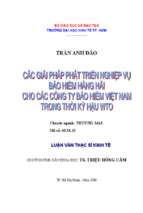 Các giải pháp phát triển nghiệp vụ bảo hiểm hàng hải cho các công ty bảo hiểm việt nam trong thời kỳ hậu wto