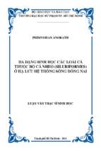Đa dạng sinh học các loài cá thuộc bộ cá nheo ( siluriformes) ở hạ lưu hệ thống sông đồng nai