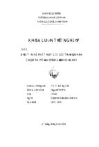 Bảo tồn và phát huy các giá trị văn hóa chămpa ở tỉnh bình định hiện nay.