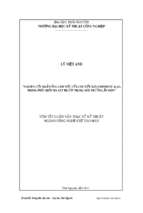 Nghiên cứu khả năng làm việc của chi tiết mạ composite al2o3 ni trong điều kiện ma sát trượt trong môi trường ăn mòn
