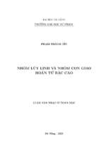 Nhóm lũy linh và nhóm con giao hoán tử bậc cao_1