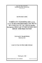 Nghiên cứu tách dòng và đọc trình tự gen cry1ab,  cry1ac mã hóa protein tinh thể diệt côn trùng bộ cánh vảy phân lập từ một số mẫu đất thuộc tỉnh thái nguyên