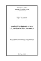 Nghiên cứu nhân giống in vitro cây sachi (plukenetia volubilis l.)