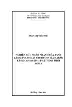 Nghiên cứu nhân nhanh cây đinh lăng (polyscias fruticosa (l). harm) bằng con đường phát sinh phôi soma.