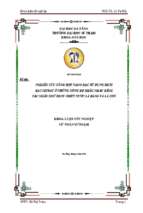 Nghiên cứu tổng hợp nano bạc từ dung dịch bạc nitrat ở những nồng độ khác nhau bằng tác nhân khử dịch chiết nước lá bàng và lá chè..