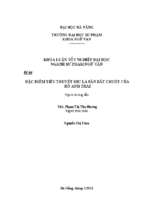 Đặc điểm tiểu thuyết sbc là săn bắt chuột của hồ anh thái.