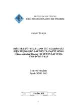 Điều tra kỹ thuật canh tác và khảo sát hiện tượng khô đầu múi trái quýt hồng (citrus reticulata blanco) tại huyện lai vung, tỉnh đồng tháp